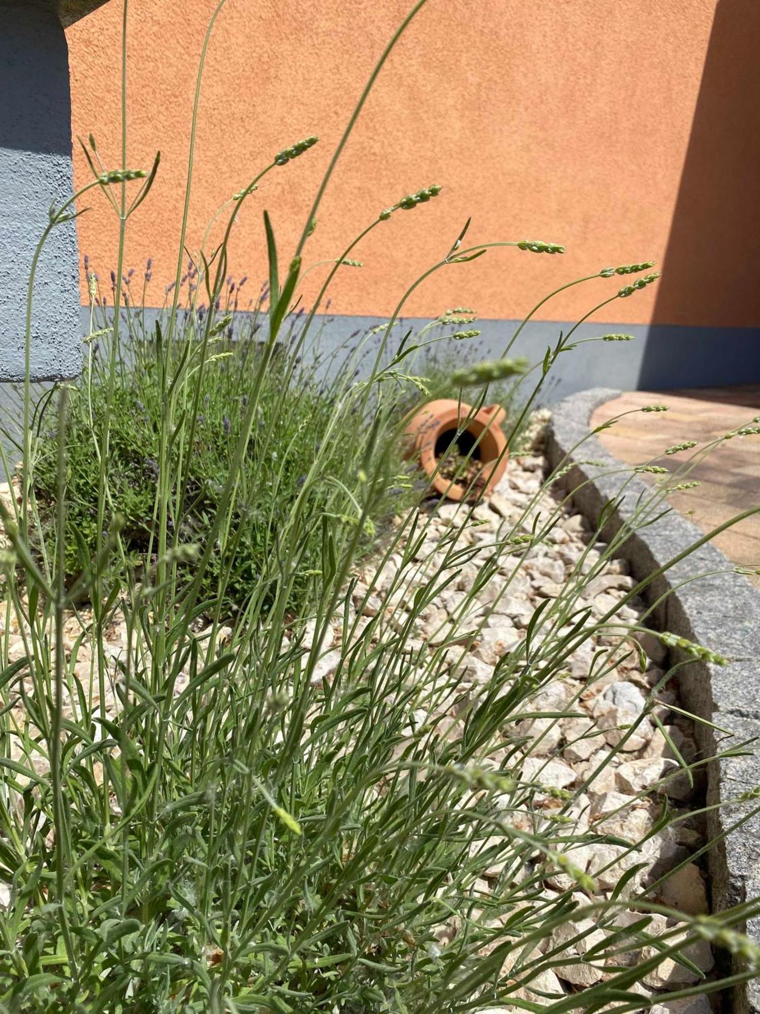 Ferienwohnung Im Sand Herbolzheim Zewnętrze zdjęcie